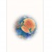 JOSEPHINE WALL GREETING CARD Moonlit Awakening